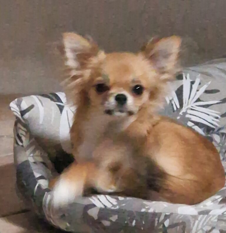 inbound8318334637793765792