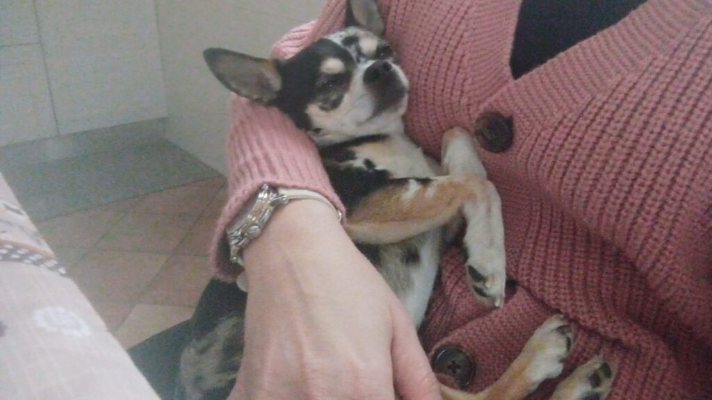 inbound8436144752199357387