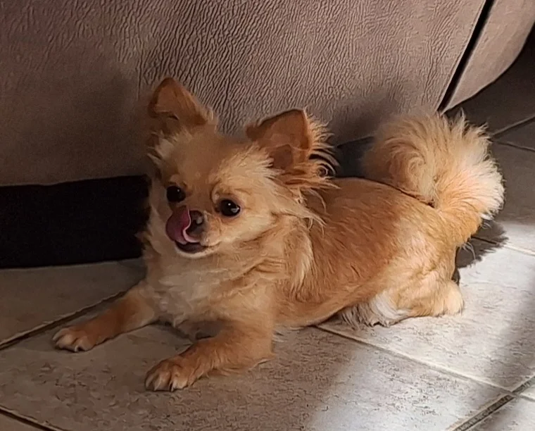 Beverly