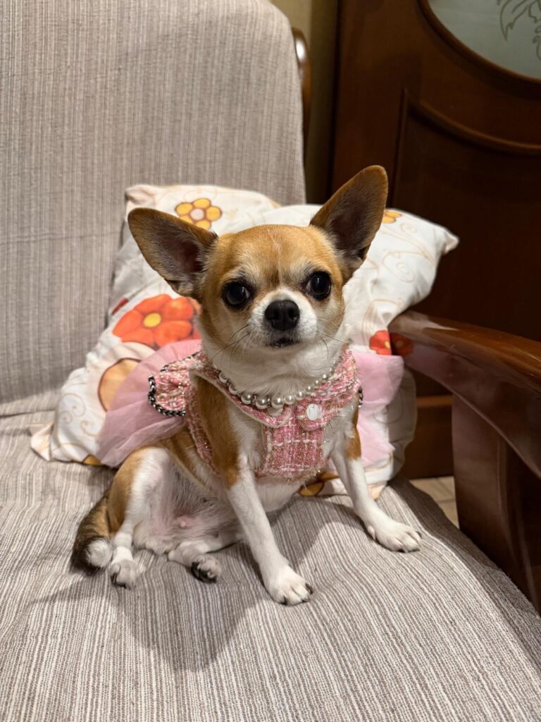 DORA