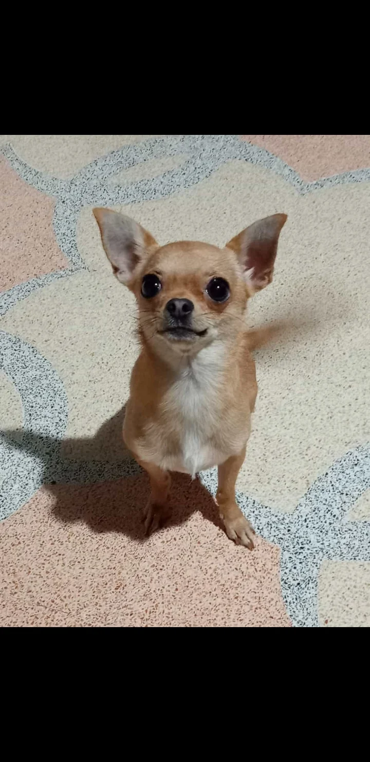 MIA
