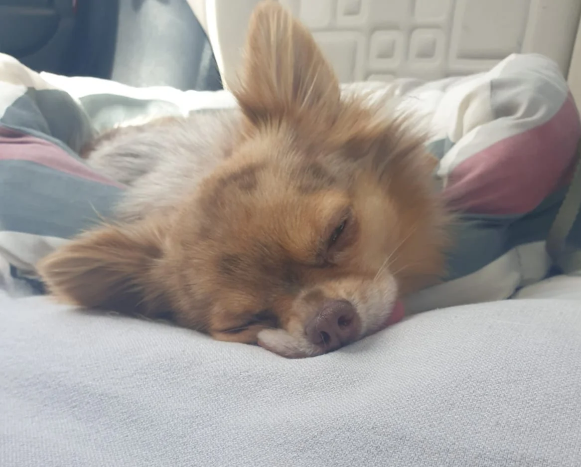 YODA