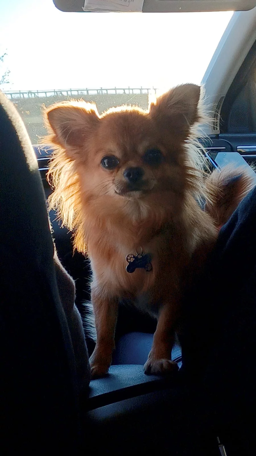 PABLO