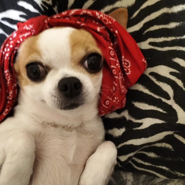 inbound8900305010632703162