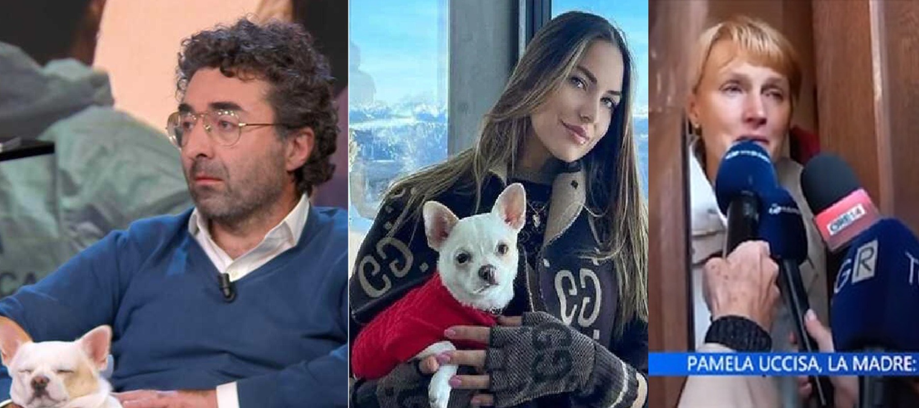 Bianca, la chihuahua contesa fra la madre di Pamela e Francesco Dolci