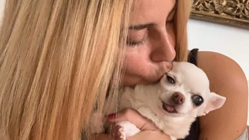 Dopo la morte di Margot, Stefania Orlando prende una pausa dai social: “devo metabolizzare”